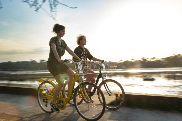 Vélos au bord de l'eau