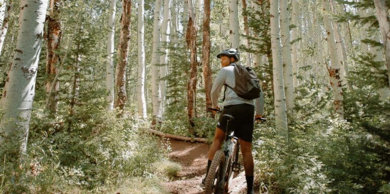 Vélo en fôret